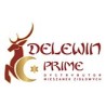 Delewin Prime